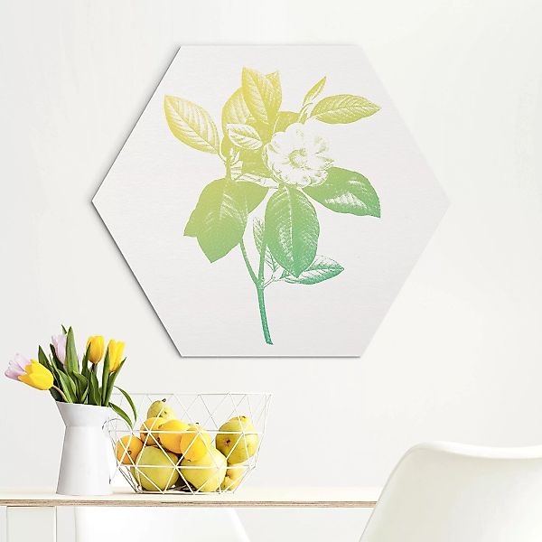 Hexagon-Alu-Dibond Bild Modern Vintage Botanik Kirschblüte Grün Gelb günstig online kaufen