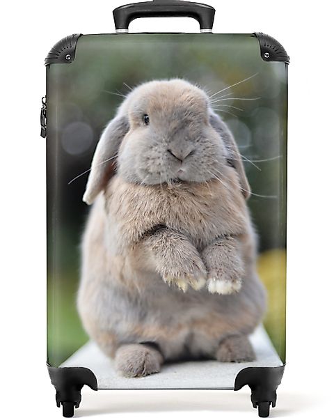 NoBoringSuitcases.com© Hartschalen-Trolley Kaninchen - Tiere - günstig online kaufen