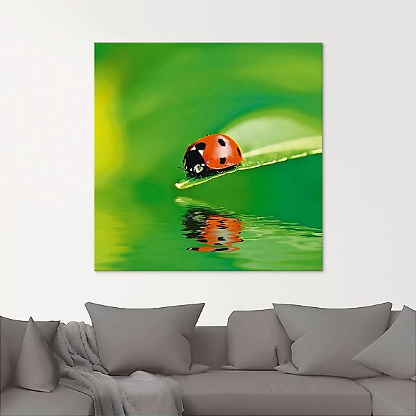 Artland Glasbild "Marienkäfer auf einem Blatt", Insekten, (1 St.) günstig online kaufen