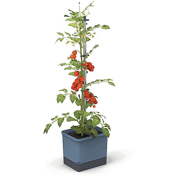Gusta Garden Anzuchtgefäß Tom Tomato 20 L blau günstig online kaufen