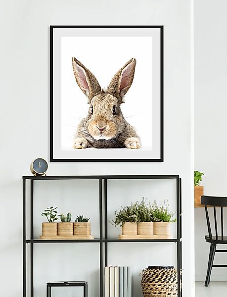 queence Bild »Joona«, Hase-Hasen-Foto-Kunst-Haustiere, (1 St.), HD Premium günstig online kaufen
