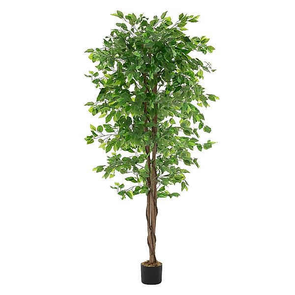 ML-Design Kunstpflanze Ficus 180 cm mit Naturholzstamm günstig online kaufen