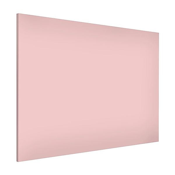 Bilderdepot24 Magnettafel Küche rosa Colour Rose, günstig online kaufen