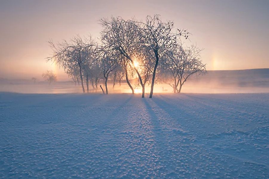 Papermoon Fototapete »Photo-Art BINGO Z, SCHNEELANDSCHAFT IM WINTER« günstig online kaufen