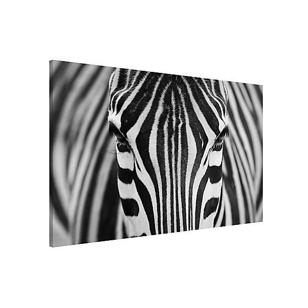 Magnettafel Tiere - Querformat 3:2 Zebra Look günstig online kaufen