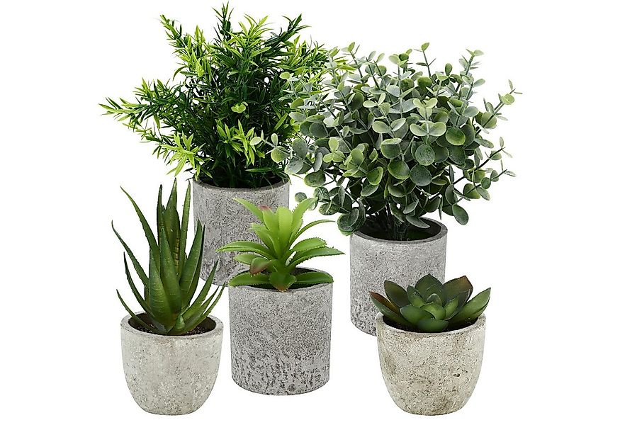 Kunstpflanze 5er-Set Mini Kunstpflanzen Künstliche Pflanzen Kunstpflanzen B günstig online kaufen
