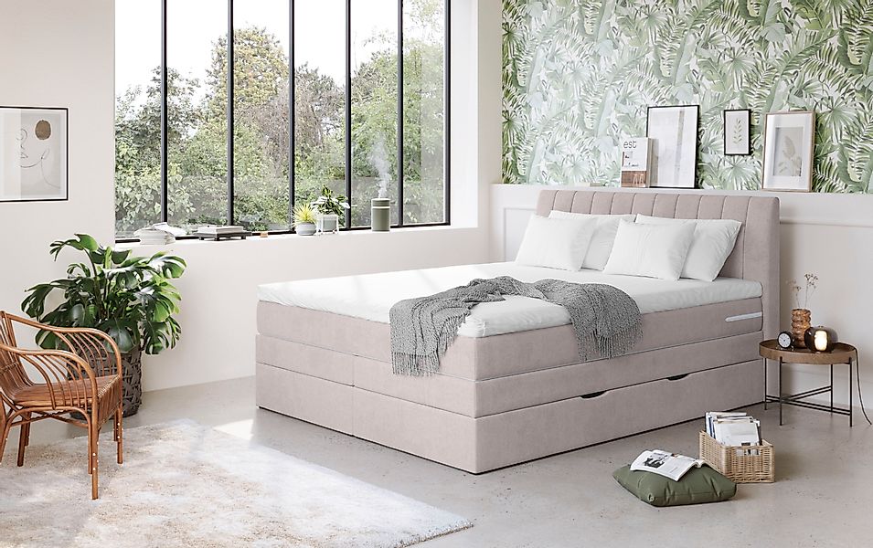 COTTA Boxspringbett »Shark inkl. Bettkasten und Topper« erhältlich in den B günstig online kaufen