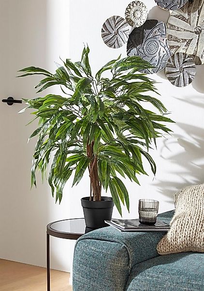 Kunstpflanze Weeping-Ficus, Creativ green, Höhe 80 cm günstig online kaufen