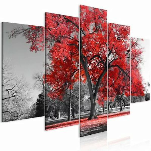 artgeist Wandbild Autumn in the Park (5 Parts) Wide Red rot-kombi Gr. 200 x günstig online kaufen