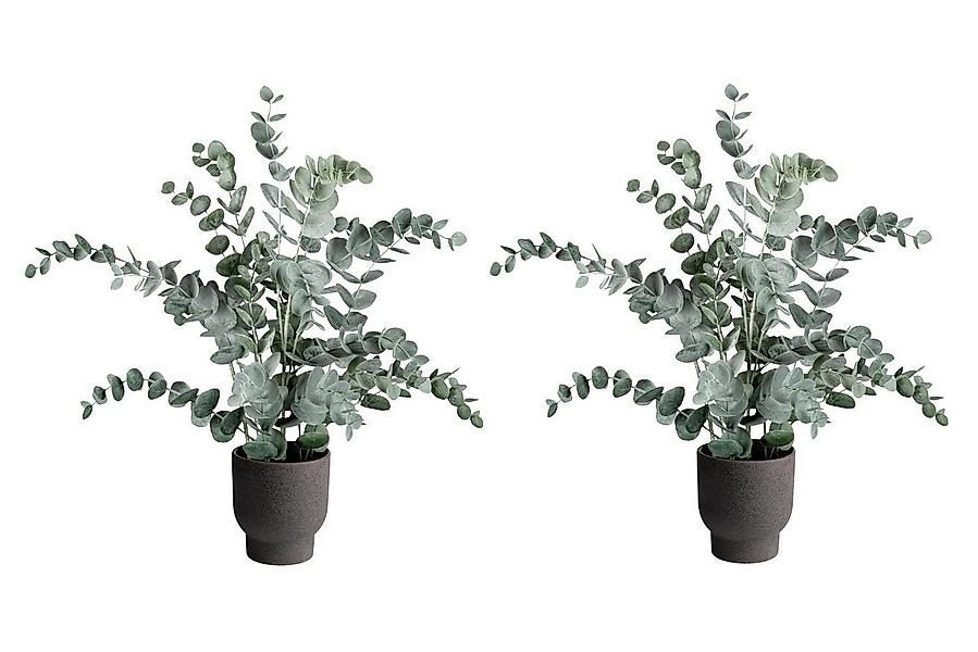 Kunstpflanze Eukalyptus im Topf NELE, H 53 cm, Grün, Kunstpflanze Eukalyptu günstig online kaufen