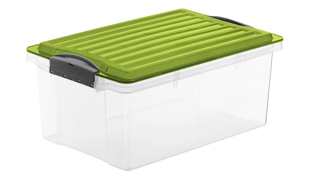 Rotho Aufbewahrungsbox mit Deckel - grün - Kunststoff - 27,5 cm - 18 cm - S günstig online kaufen