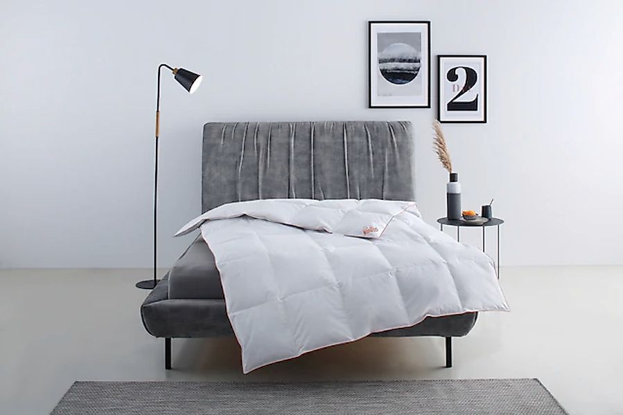 RIBECO Daunenbettdecke »Richard, Bettdecken für Sommer oder Winter, Made in günstig online kaufen