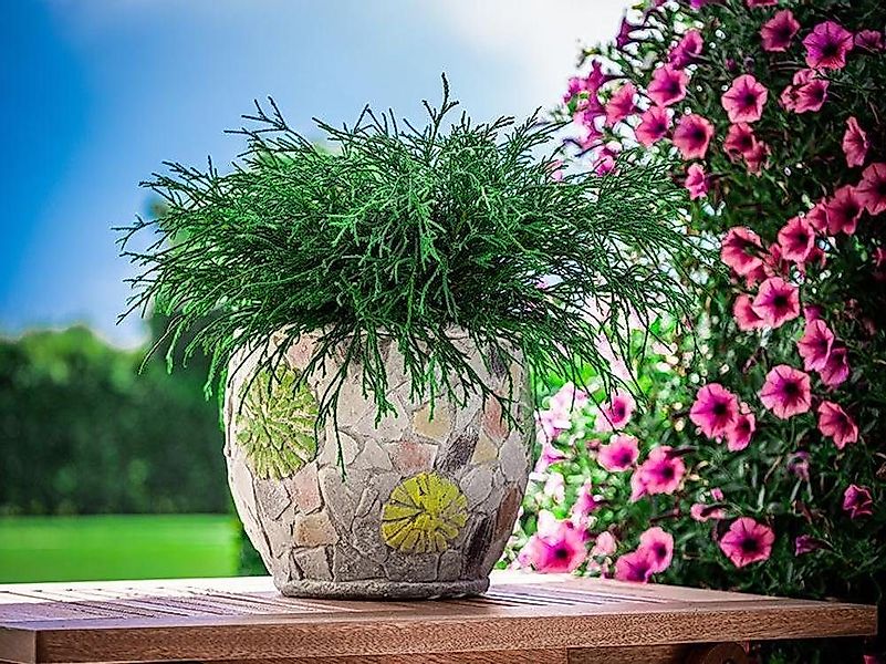 PROREGAL® Blumentopf Blütentopf mit Mosaik, Grau, günstig online kaufen