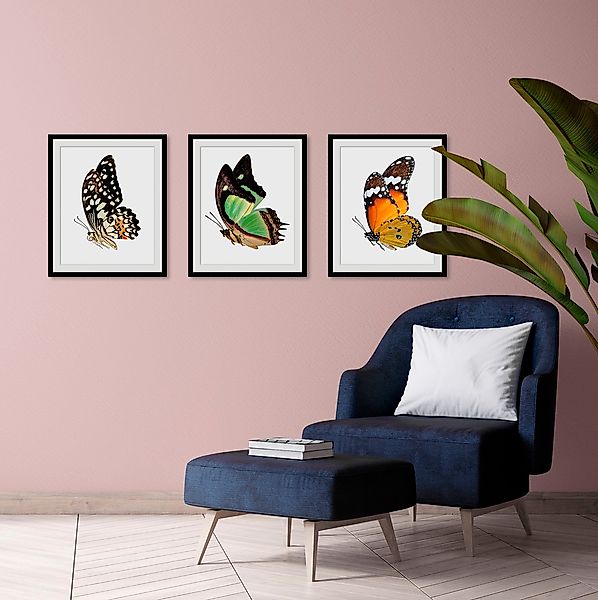 queence Bild »Charly«, Schmetterlinge-Kunst-Insekten-historische Ereignisse günstig online kaufen