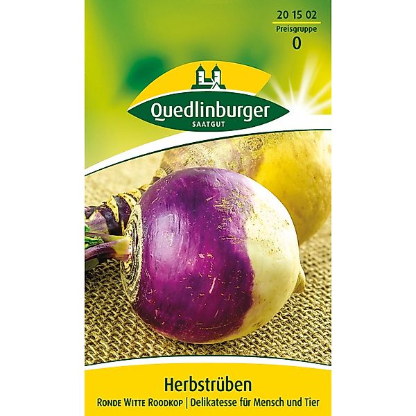 Quedlinburger Herbstrübe ''Ronde Witte Roodkop'' günstig online kaufen