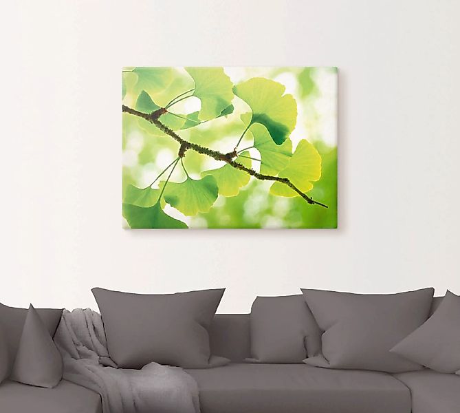 Artland Wandbild "Ginkgo", Blätter, (1 St.), als Leinwandbild, Poster in ve günstig online kaufen