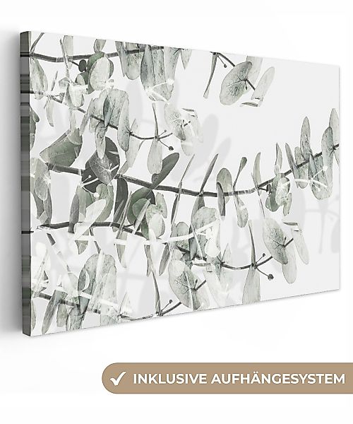 OneMillionCanvasses® Leinwandbild Pflanzen - Natur - günstig online kaufen