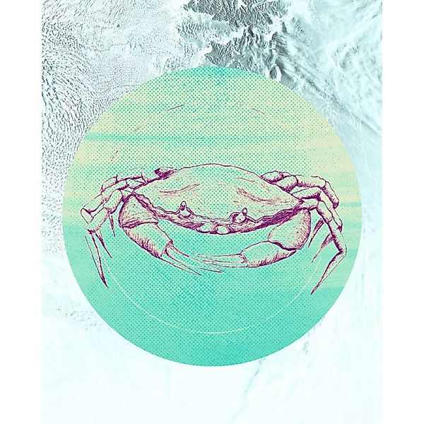 Komar Wandbild Crab Sea Tiere B/L: ca. 40x50 cm günstig online kaufen