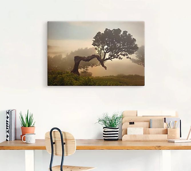 Artland Wandbild »Lorbeerbaum«, Bäume, (1 St.) günstig online kaufen