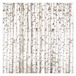Bilderdepot24 Vliestapete Holzoptik Birkenwand Bäume Wald günstig online kaufen