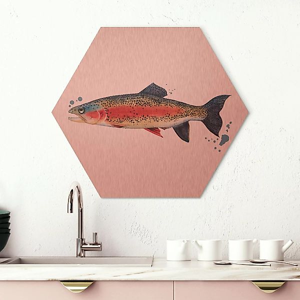Hexagon-Alu-Dibond Bild Küche Farbfang - Forelle günstig online kaufen