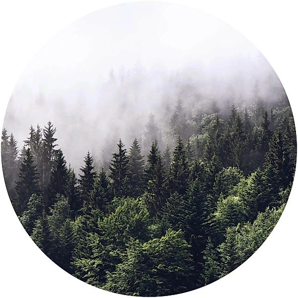 Erfurt Fototapete Vlies Tannenwald im Nebel Ø 188 cm günstig online kaufen