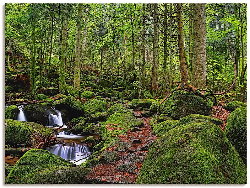 Artland Wandbild "Zauberwald", Wald, (1 St.), als Leinwandbild, Poster in v günstig online kaufen
