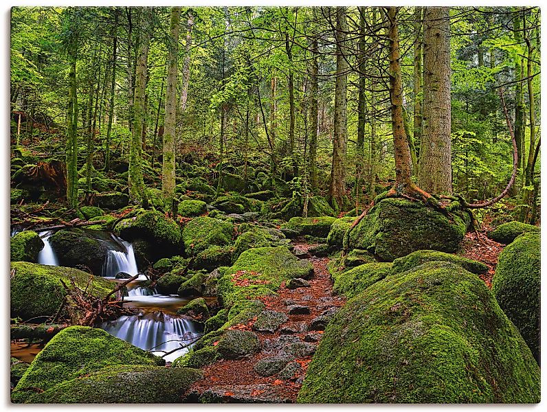 Artland Wandbild "Zauberwald", Wald, (1 St.), als Leinwandbild, Poster in v günstig online kaufen