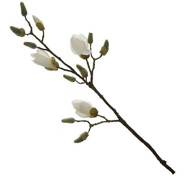 Künstliche Zimmerpflanze künstlicher Magnolienzweig Weiss (82cm), Fink günstig online kaufen
