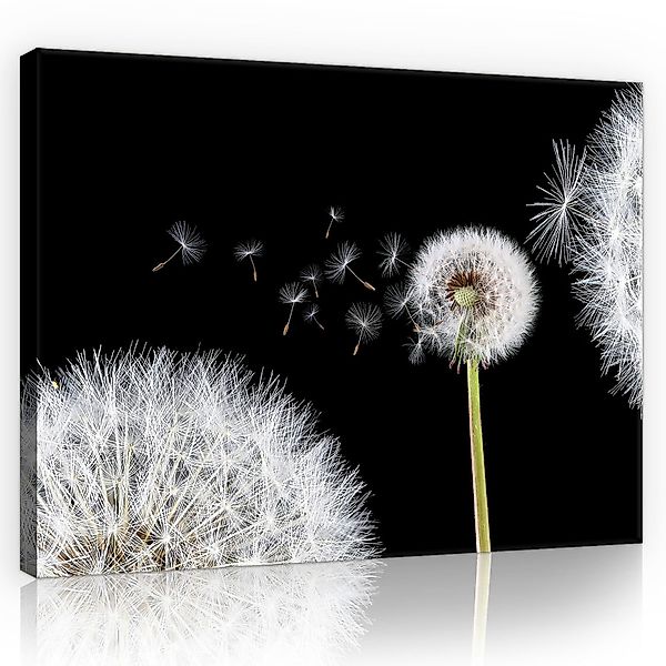 Wallarena Leinwandbild Blumen Schlafzimmer Bilder Wanddekoration günstig online kaufen
