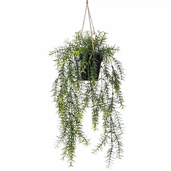 Emerald Kunstpflanze Asparagus Busch Hängend Im Topf 50 Cm günstig online kaufen