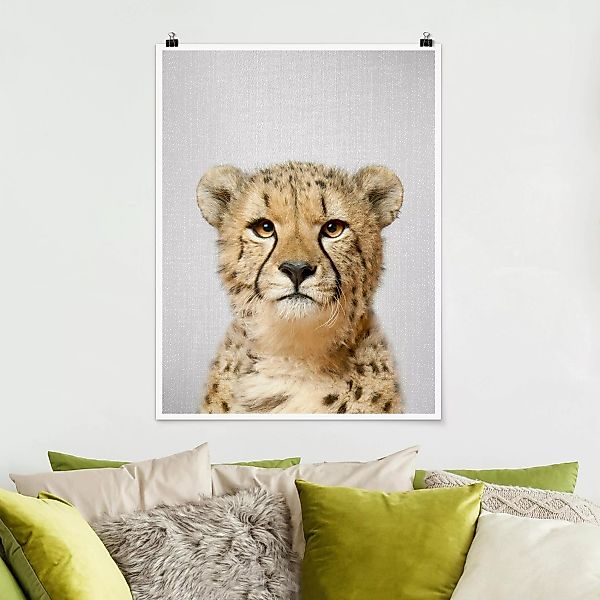 Poster Gepard Gerald günstig online kaufen