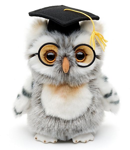 Uni-Toys Kuscheltier Eule mit Doktorhut und Brille - 18 cm (Höhe) - Plüsch, günstig online kaufen