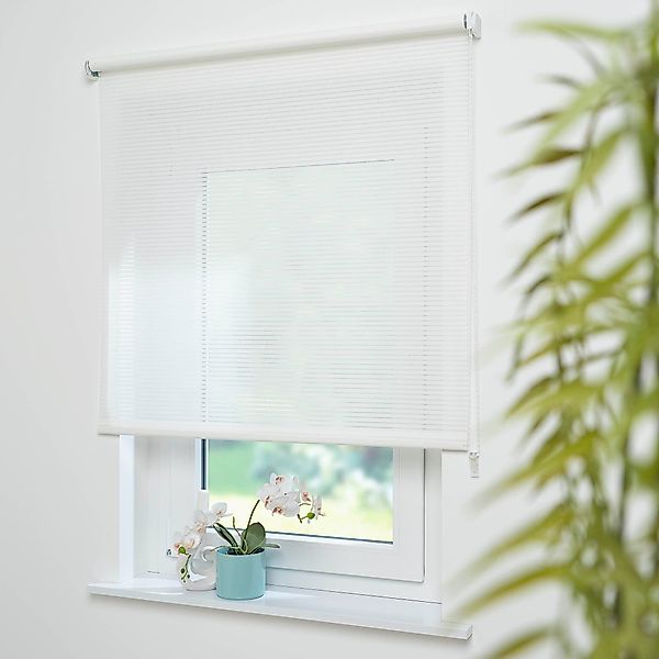 Seitenzugrollo Dekor Streifen, Liedeco, Lichtschutz, mit günstig online kaufen
