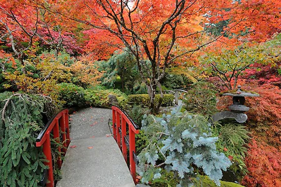 Papermoon Fototapete »JAPANISCHER GARTEN HERBST« günstig online kaufen