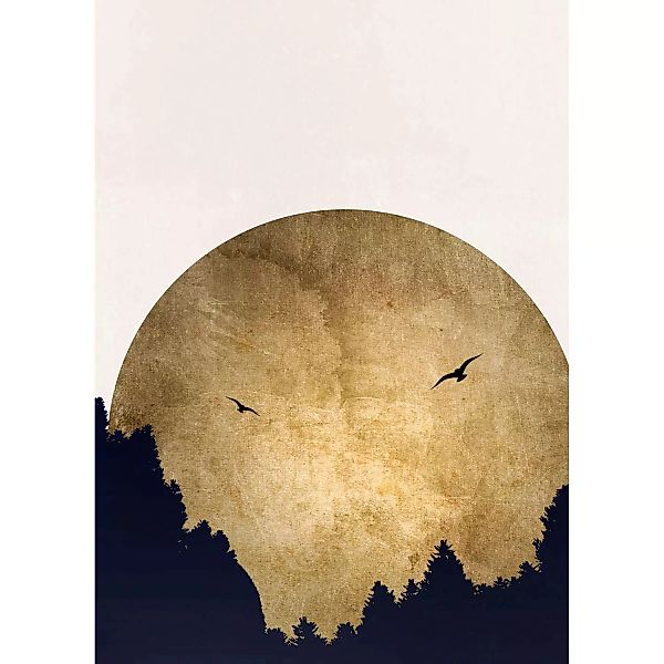 Fototapete Mond Wald Vögel Weiß Gold Schwarz 2,00 m x 2,80 m FSC® günstig online kaufen