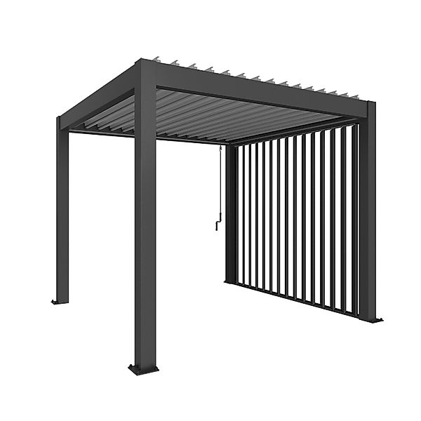 Biohort Lamellenseitenwand zu Pergola 10 x 235 x 327 cm Dunkelgrau-Metallic günstig online kaufen