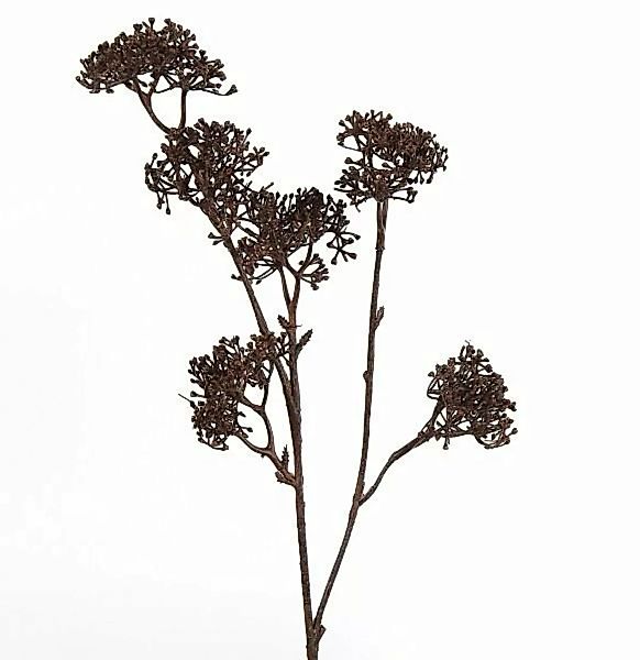 Decostar Kunstpflanzen & -blumen Bonny Holunder Pflanze braun (braun) günstig online kaufen