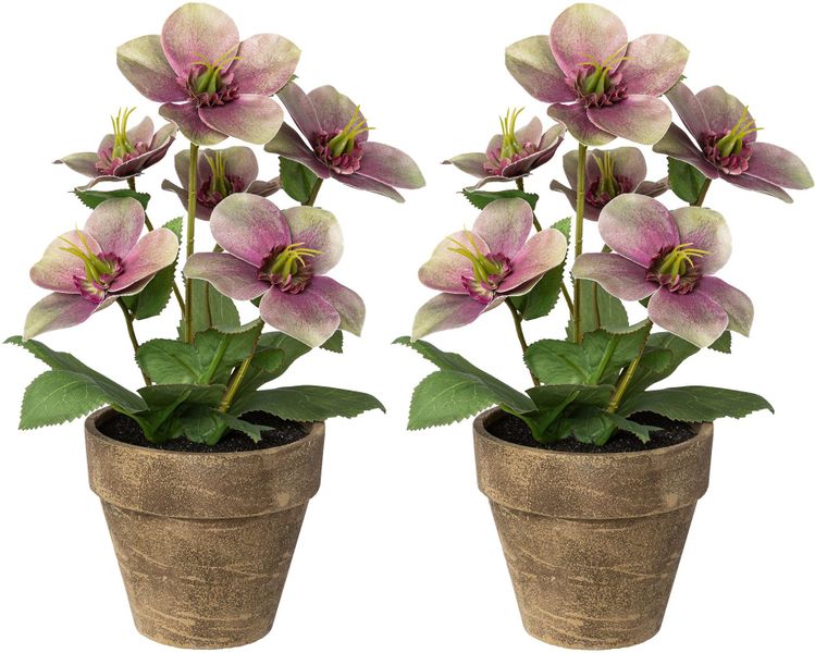 Winterliche Kunstpflanze Weihnachtsdeko Christrose, Creativ deco, günstig online kaufen