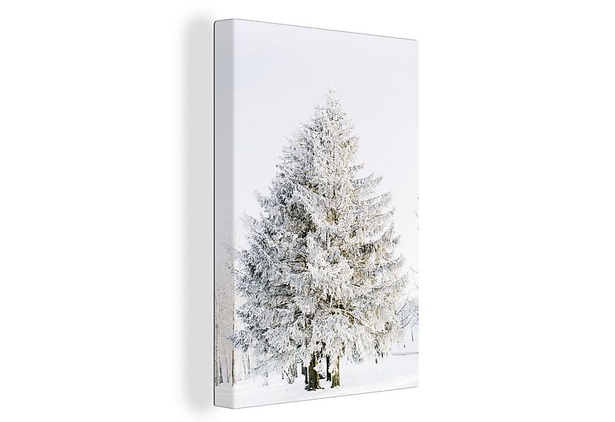OneMillionCanvasses® Leinwandbild Winter - Baum - Schnee - Kiefer - Weiß, F günstig online kaufen