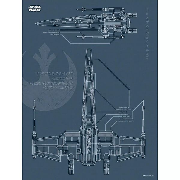 Komar Wandbild Star Wars X-Wing 30 x 40 cm günstig online kaufen