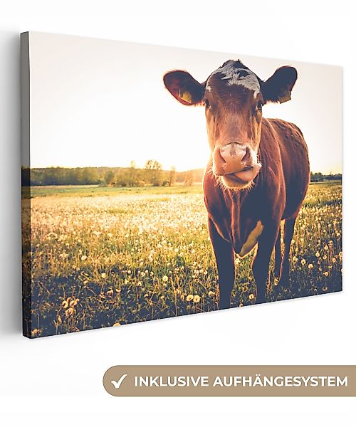 OneMillionCanvasses® Leinwandbild Kuh - Sonnenuntergang - günstig online kaufen