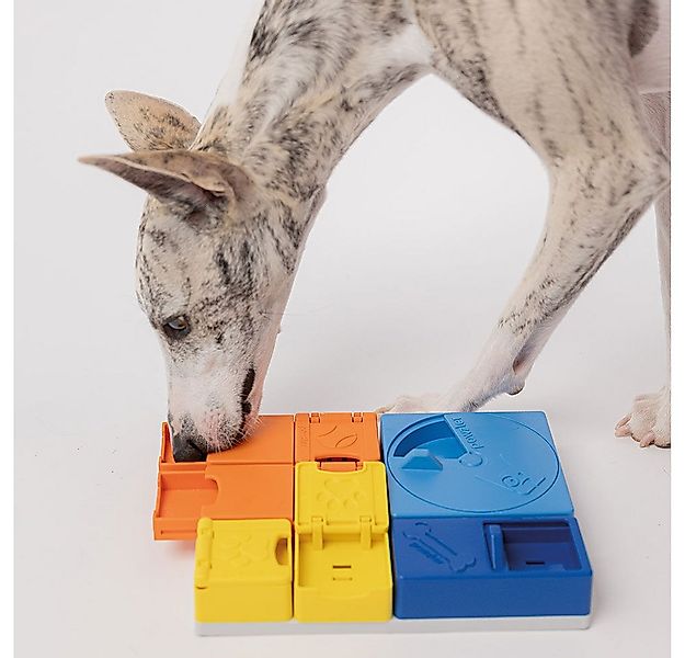 Tier-Intelligenzspielzeug Pawzler Intelligentes Schnüffel Hundespielzeug, B günstig online kaufen