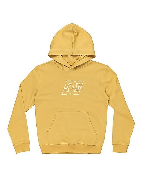 DC Shoes Hoodie Pallet Ph günstig online kaufen