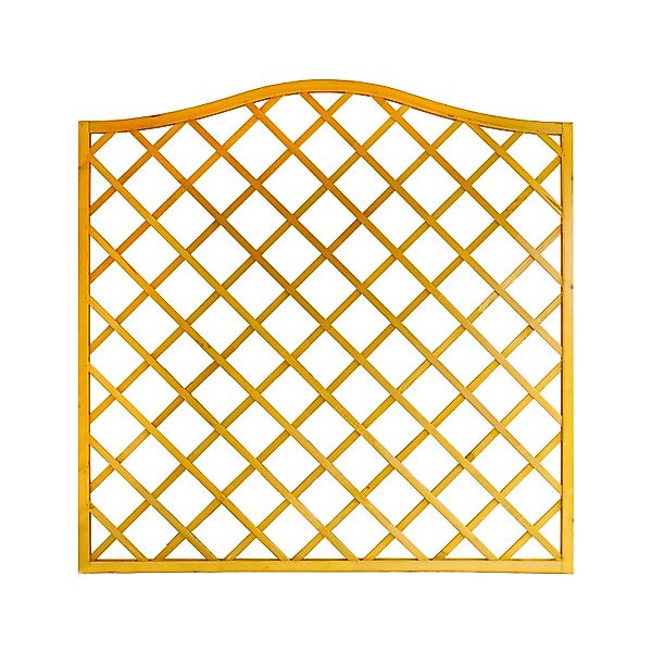 Sichtschutzzaun-Element Nancy Pinienfarben 164/180 cm x 180 cm günstig online kaufen