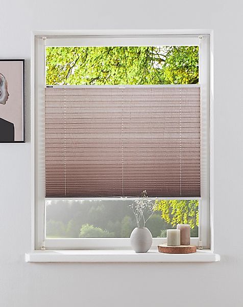 my home Plissee DAHRA - in günstig online kaufen