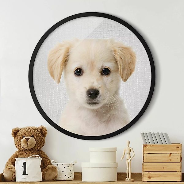 Rundes Bild mit Rahmen Baby Golden Retriever Gizmo günstig online kaufen