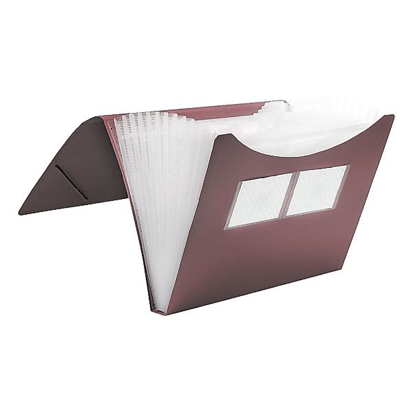 FOLDERSYS Fächermappe, 12 Fächer, DIN A4 günstig online kaufen