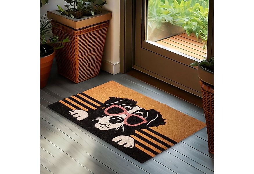 BRUBAKER Fußmatte Hund mit Sonnenbrille - 45 x 75 cm Schmutzfangmatte - Bra günstig online kaufen