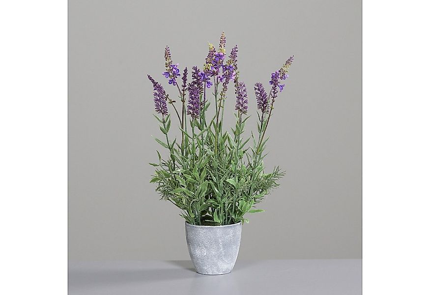 Kunstblume Lavendelbusch im Dekotopf DP Kunstpflanzen künstliche Blumen Pfl günstig online kaufen